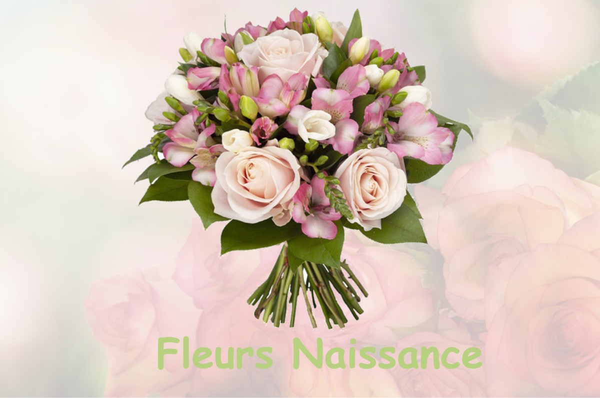 fleurs naissance LE-PLESSIER-SUR-SAINT-JUST