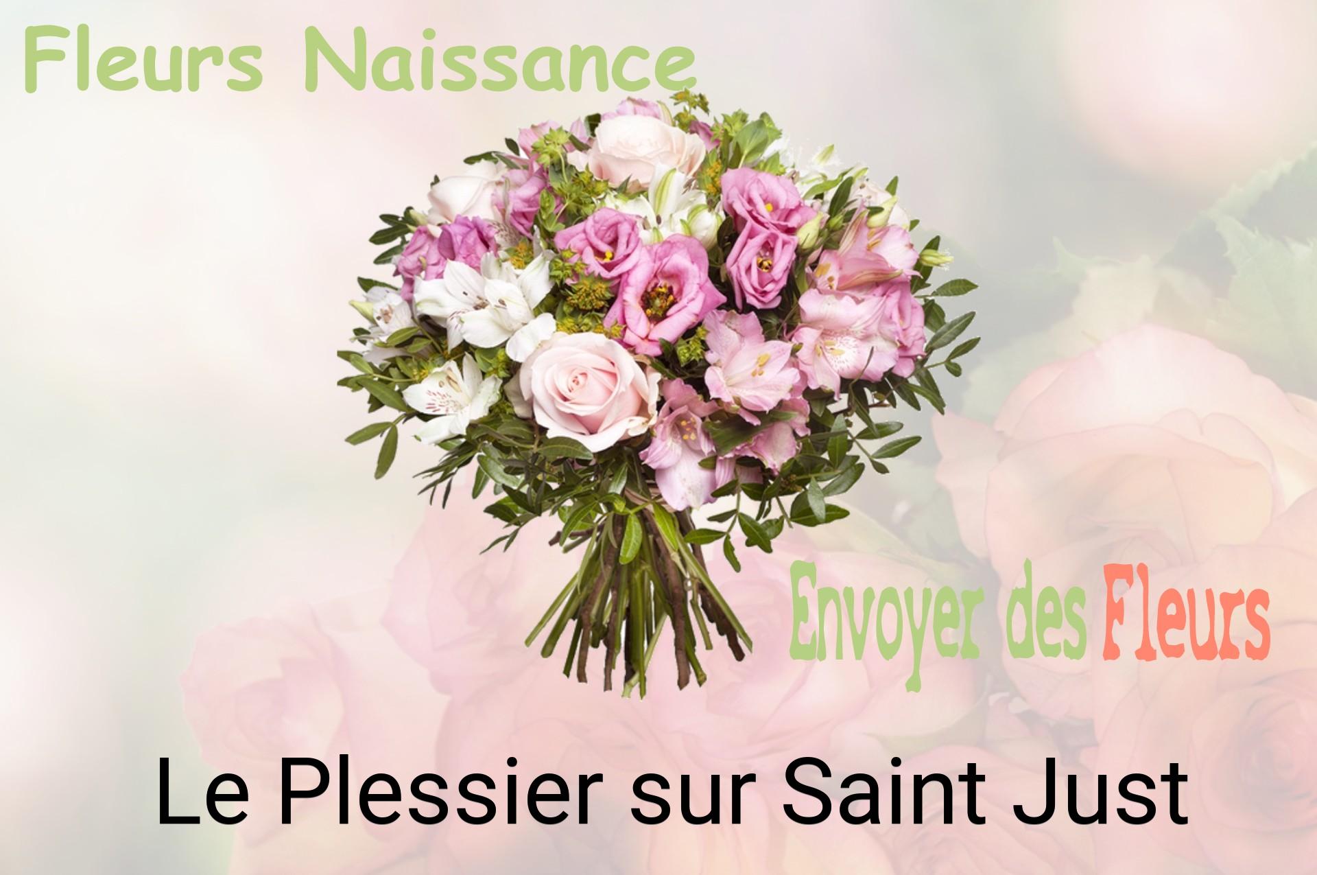 Bouquet de fleurs de naissance livré à Le Plessier-sur-Saint-Just